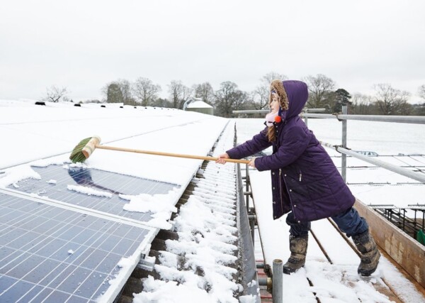 How should we treat the snow on the solar panels